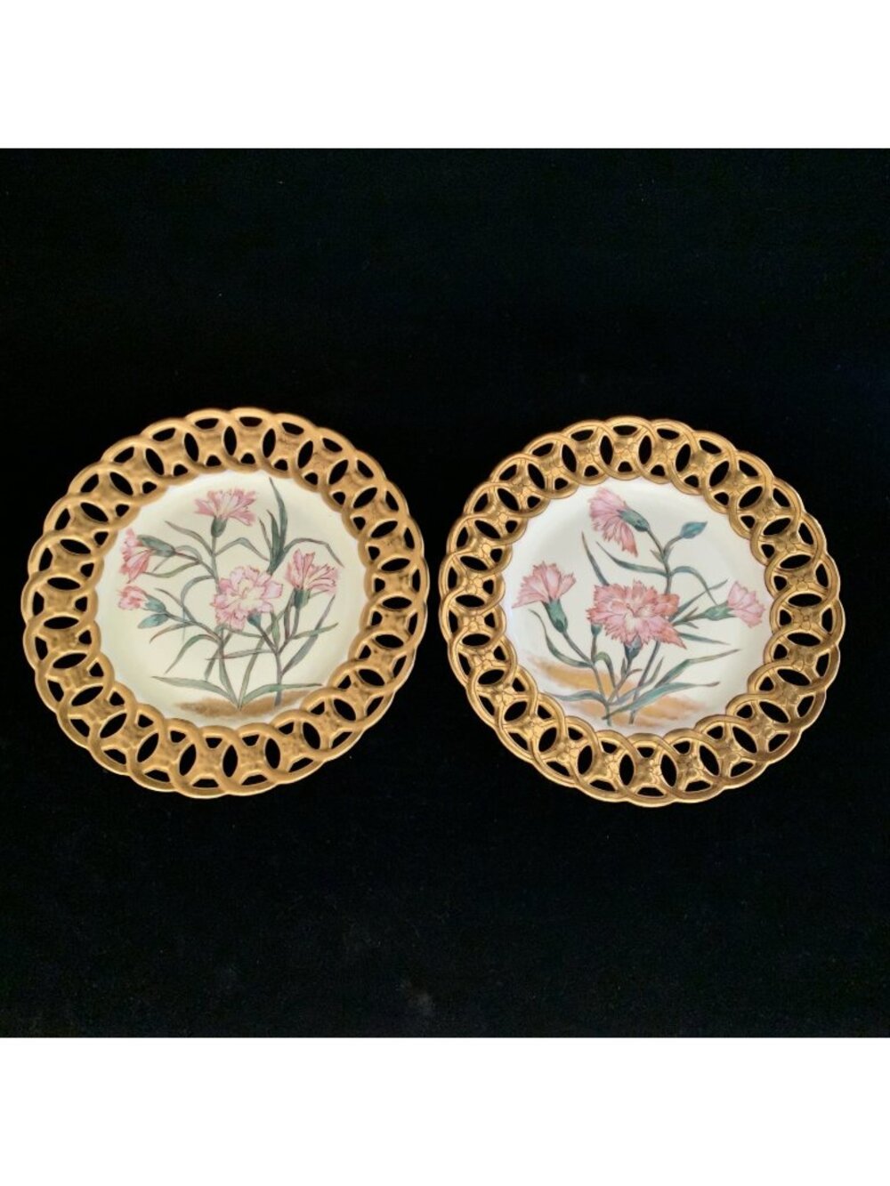 Carl Tielsch Altwasser Hand Painted Floral Reticulated Gold Plates Set of 2 8.5"